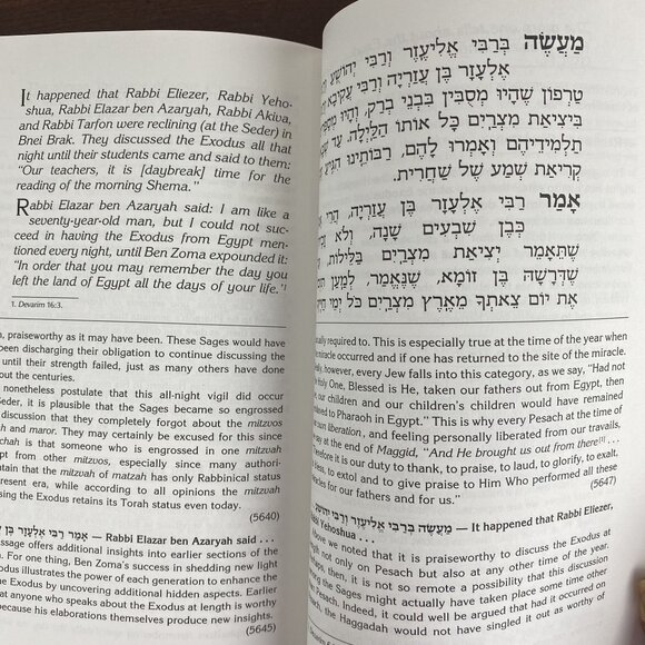 The Pesach Haggadah With Ideas & Insights Of The Sfas Emes By Rabbi Yosef Stern - Picture 2 of 3